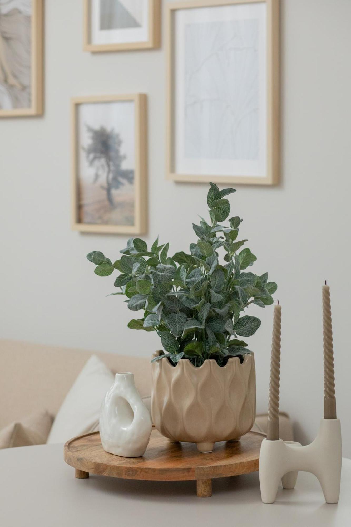 Ts Gold New Town Apartment & Free Private Parking Szczecin Extérieur photo
